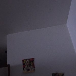 Meet your Posher, Janeth